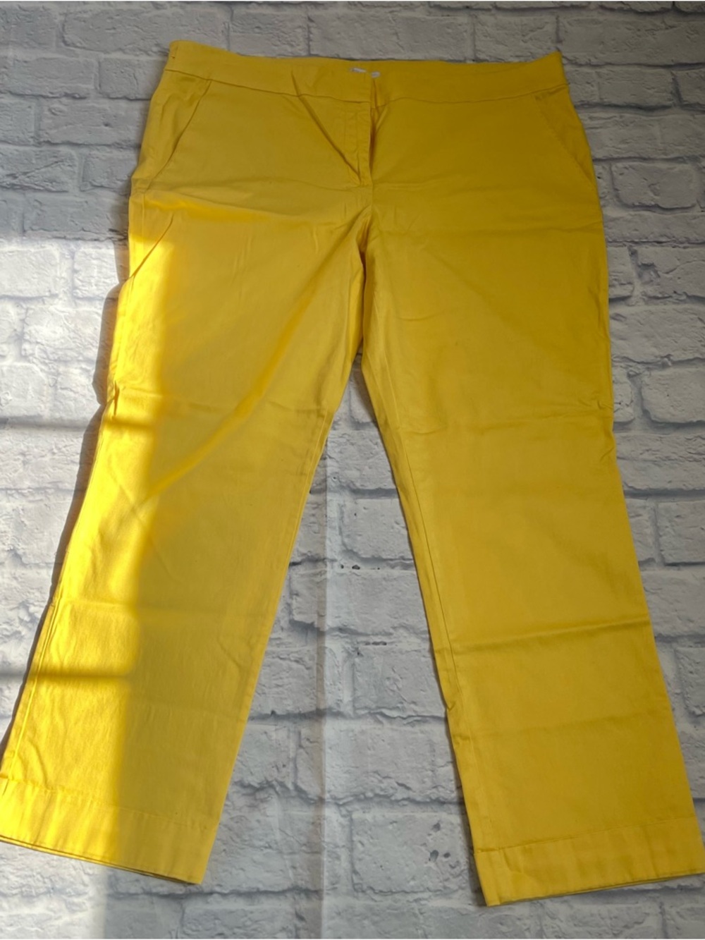 New York & Company Cropped Pants